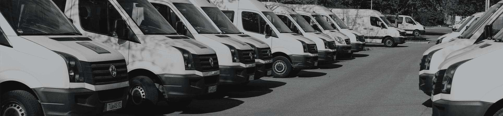 Commercial vans parked in a row
